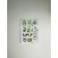 Note Zog Kawaii Dinazor Sticker