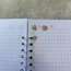 çilekli a5 defter