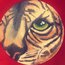 •Tiger O2