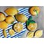 •Lemon OI
