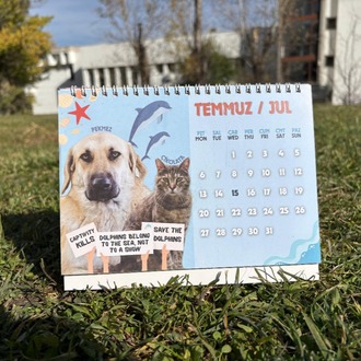 2026 Takvimi