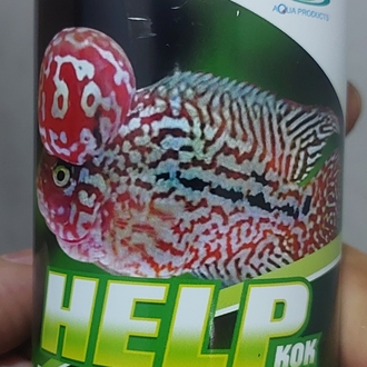 CZ HELP KOK Flowerhorn