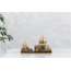 ALQUDS 2 25X15
