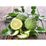 Bergamot (1 GRAM)