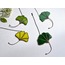Koyu yeşil Ginkgo yaprağı