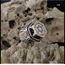Seal Of Solomon Ring