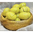 Domat Kırma Yeşil Zeytin 2 KG