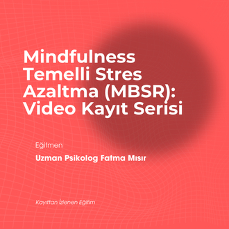 Mindfulness Temelli Stres Azaltma(MBSR): Video Kayıt Serisi