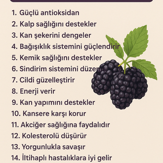 Karadut Özü ( 250 cc 400 gr )