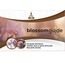 blossomguide 