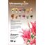 blossomguide 