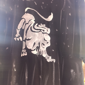 aslan Burcu unisex tişört