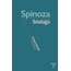Gilles Deleuze ve Spinoza Sözlükleri