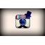 İnstagram beğeni 1000