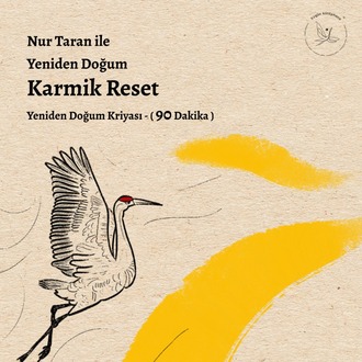 Yeniden Doğum Karmik Reset