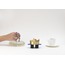 Mis-Shapes / flat bowl with arms