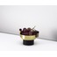Mis-Shapes / high bowl with balls