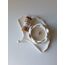 Pera Home 3'lü Lotus Mum Set 