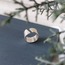 The Ring In Between