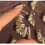 Çoklu gold kıkırdak küpe