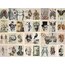 Skeleton Scrapbook Kağıt Seti (32 adet)