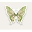 Green Butterfly Tekli Sticker
