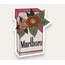 Marlboro Tekli Sticker