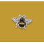 Bee Tekli Sticker