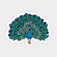 Peacock Tekli Sticker