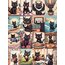 Black Cat Adventure Scrapbook Kağıt Seti(16 adet)