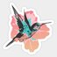 Hummingbird Tekli Sticker