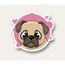 Cute Pug Tekli Sticker 