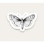 Vintage Butterfly Tekli Sticker 
