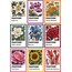Pantone Flower Sticker Seti (9 adet)
