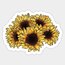 Sunflower Tekli Sticker