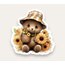 Bear with Sunflowers Tekli Sticker