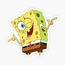 Cool Sponge Bob Tekli Sticker