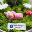 BEBEK HEDİYESİ MİNYATÜR BAHÇE – LUNA SERİSİ