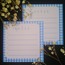 10lu mavi notepad seti