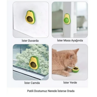 Kedi Catnip Avokado
