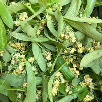 1 kg kuru Ihlamur