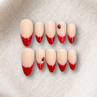 Ladybug
