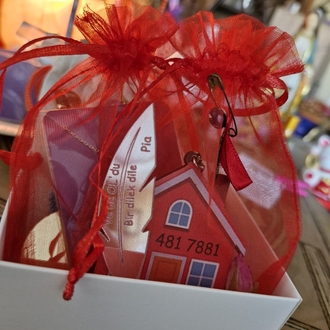 Dilek Evi Mini Set    (5.5 Enerjisinde)