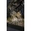 Alien & Ripley 1979 Diorama Seti