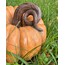 Büyük Boy Turuncu Balkabağı Dekoratif Obje 30 cm /Halloween Balkabağı