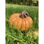Büyük Boy Turuncu Balkabağı Dekoratif Obje 30 cm /Halloween Balkabağı