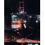 Night Preset | Lightroom Mobile&Desktop