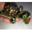 KAPLUMBAĞA FIGÜR / Needle Felted Turtle