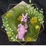 Sevimli Böcek Figür / Cute Insect Figure