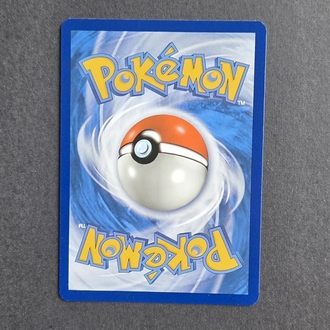 Brock's Training Holo